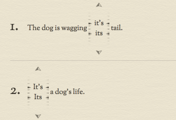 the grammar quiz